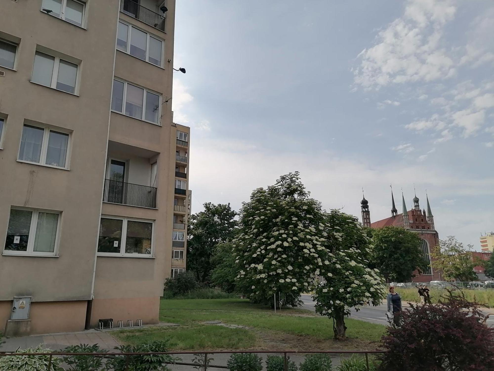 Apartment Torunska